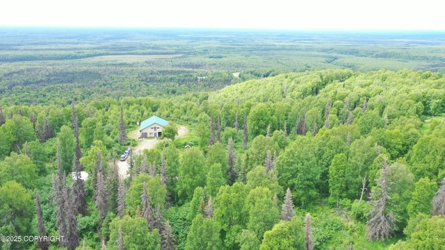 15561 W Willa's Way, Willow, AK 99688