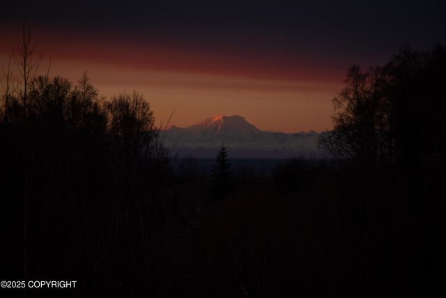 15561 W Willa's Way, Willow, AK 99688