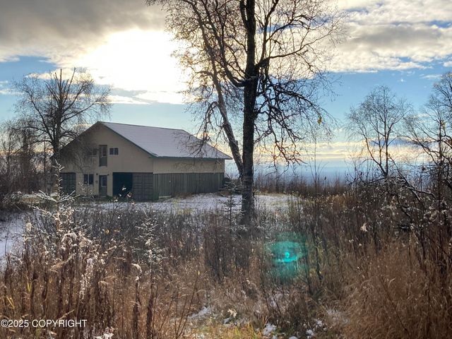 15561 W Willa's Way, Willow, AK 99688