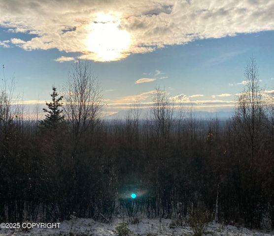 15561 W Willa's Way, Willow, AK 99688