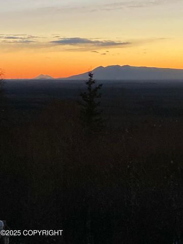 15561 W Willa's Way, Willow, AK 99688