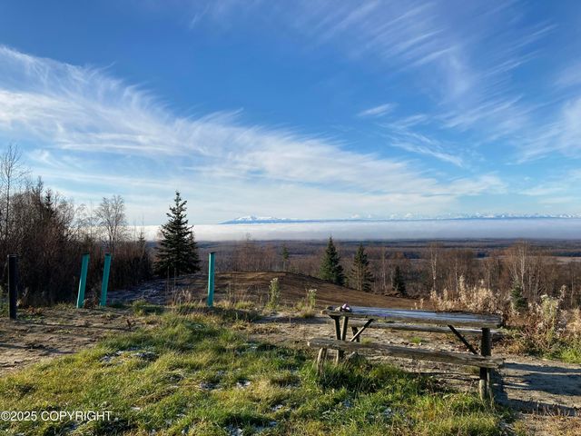 15561 W Willa's Way, Willow, AK 99688
