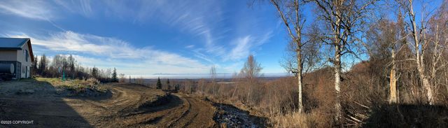 15561 W Willa's Way, Willow, AK 99688
