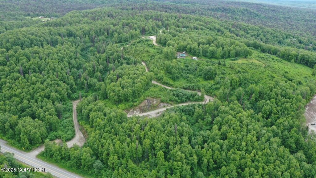 15561 W Willa's Way, Willow, AK 99688