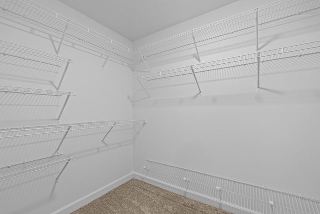 8101 Bannock Circle, Graniteville, SC 29829