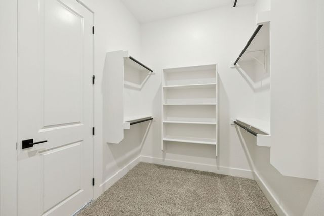 15661 Abelia Bloom Street, Frisco, TX 75035