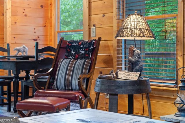 60 Clubhouse Court, Ellijay, GA 30536