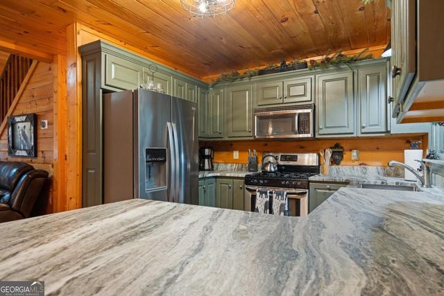 60 Clubhouse Court, Ellijay, GA 30536