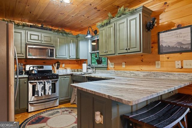 60 Clubhouse Court, Ellijay, GA 30536