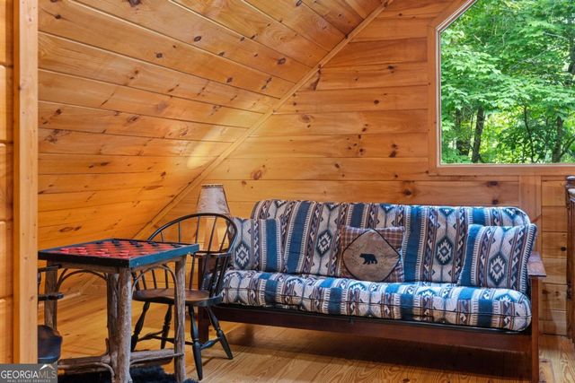 60 Clubhouse Court, Ellijay, GA 30536