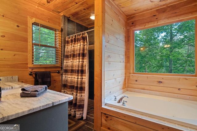 60 Clubhouse Court, Ellijay, GA 30536