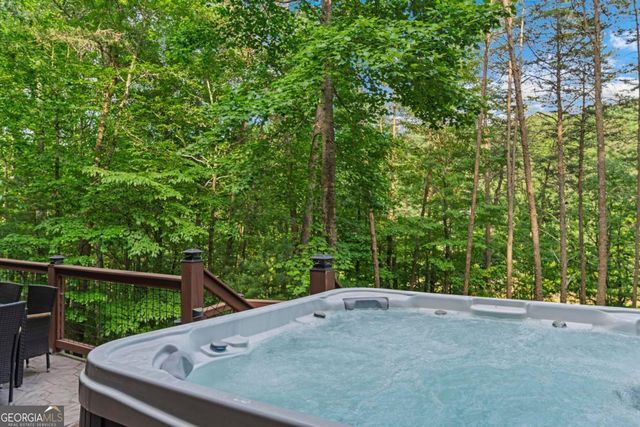 60 Clubhouse Court, Ellijay, GA 30536