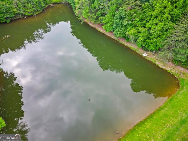 60 Clubhouse Court, Ellijay, GA 30536