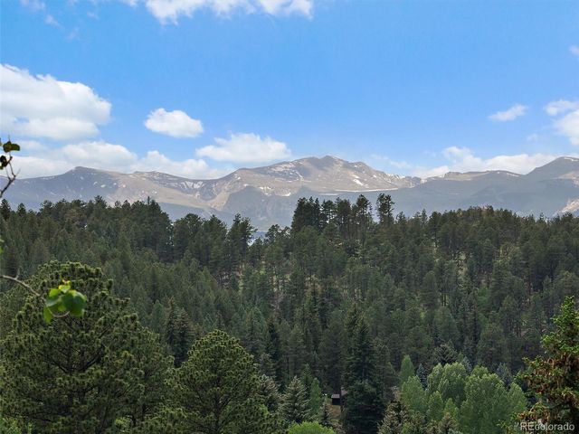 4252 S Meadow Brook Lane, Evergreen, CO 80439