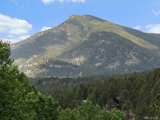 4252 S Meadow Brook Lane, Evergreen, CO 80439