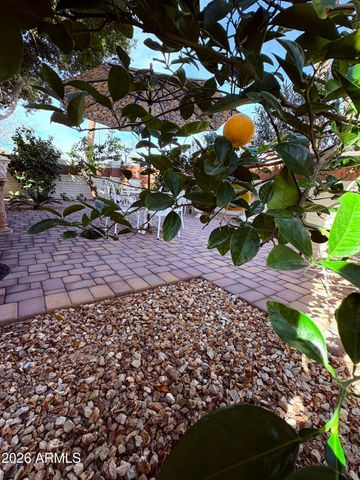 1636 E Villa Theresa Drive, Phoenix, AZ 85022