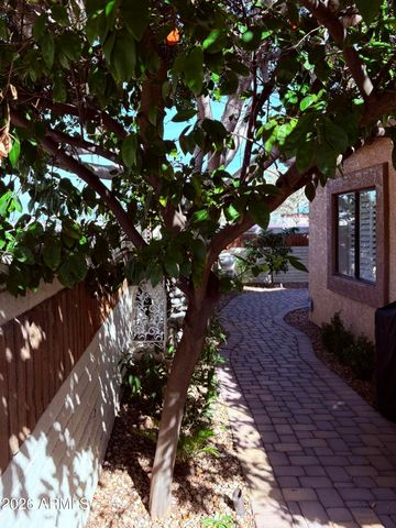 1636 E Villa Theresa Drive, Phoenix, AZ 85022