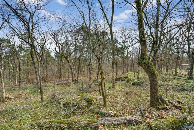 161 Stoneway Trail, Madison, AL 35758