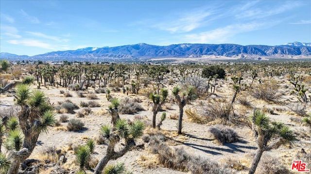 0 Vic, Pinon Hills, CA 92372