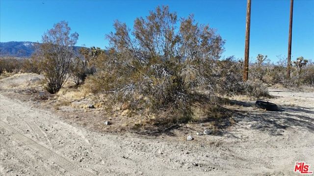 0 Vic, Pinon Hills, CA 92372