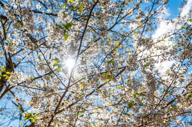 910 Curlew Court, Sandy Springs, GA 30327