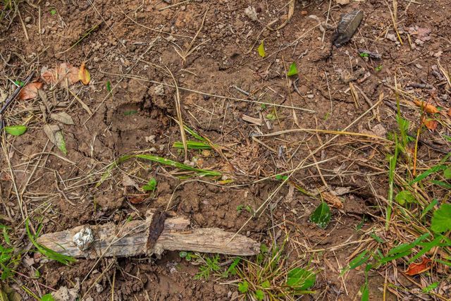 331 Swayne Road, Peebles, OH 45660