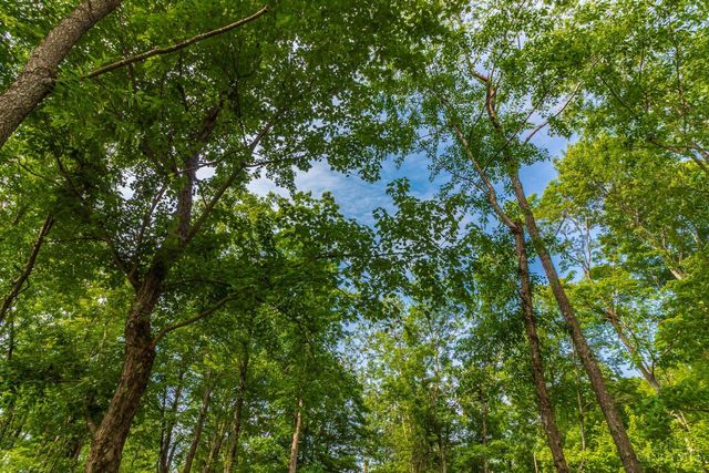 331 Swayne Road, Peebles, OH 45660