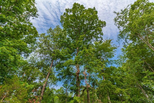 331 Swayne Road, Peebles, OH 45660