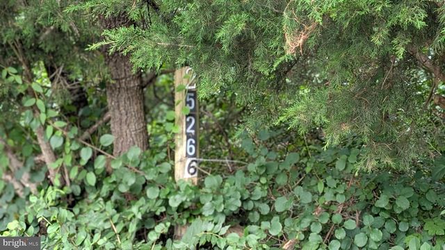 25266 SMITH LANDING RD, Denton, MD 21629