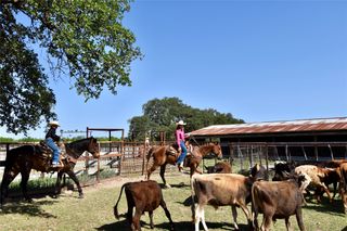 8228 US HWY 377, Rochelle, TX 76872