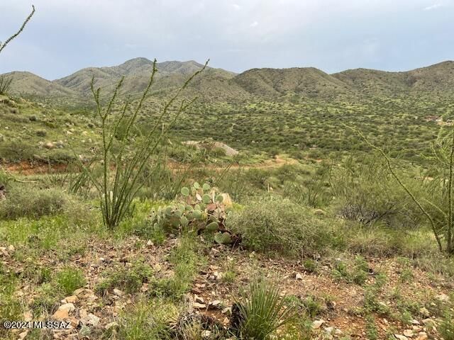S Goodenough Trail Lot 1, Vail, AZ 85641