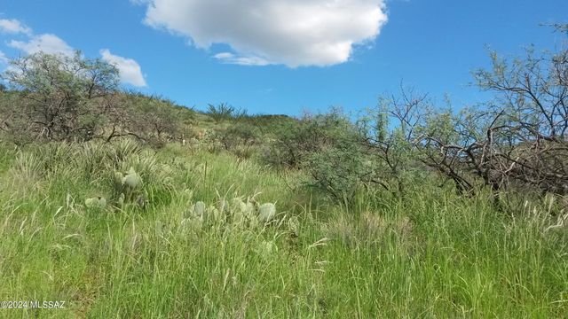 S Goodenough Trail Lot 1, Vail, AZ 85641