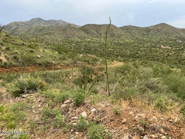 S Goodenough Trail Lot 1, Vail, AZ 85641