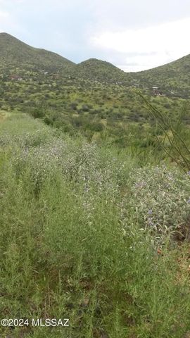 S Goodenough Trail Lot 1, Vail, AZ 85641