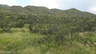 S Goodenough Trail Lot 1, Vail, AZ 85641