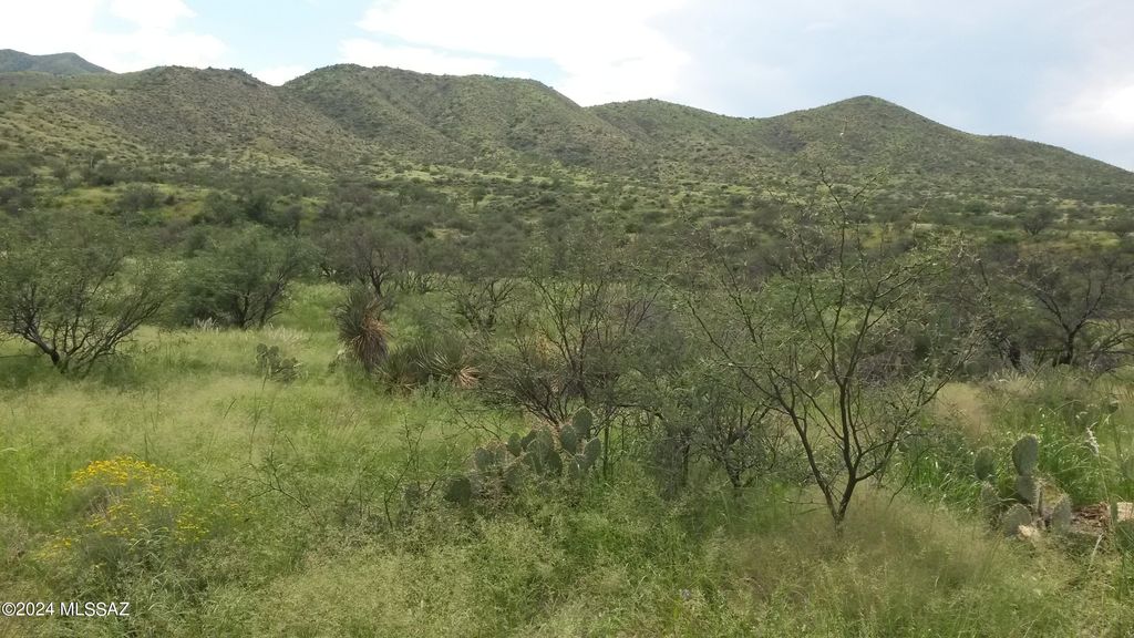 S Goodenough Trail Lot 1, Vail, AZ 85641