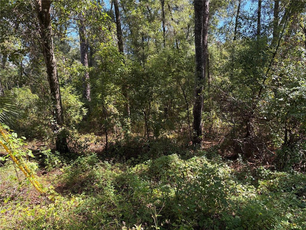 1228 CLOVER TERRACE, Inverness, FL 34452