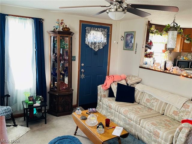 219 Mulberry Street, Wooster, OH 44691