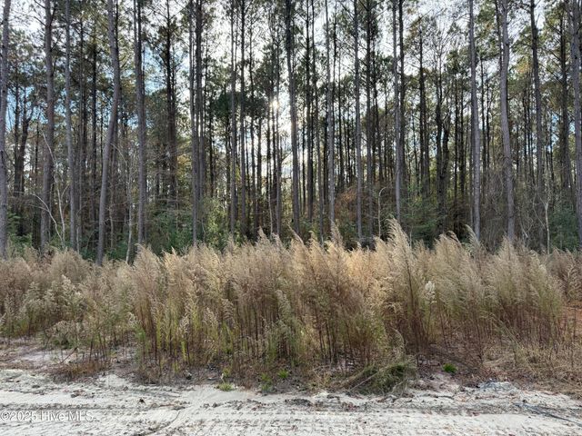 1134 Watts Landing Road, Hampstead, NC 28443