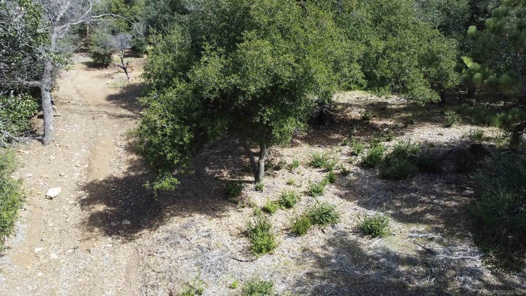 Image 4 of property listing at 2716 Payson Dr, Julian, CA 92036