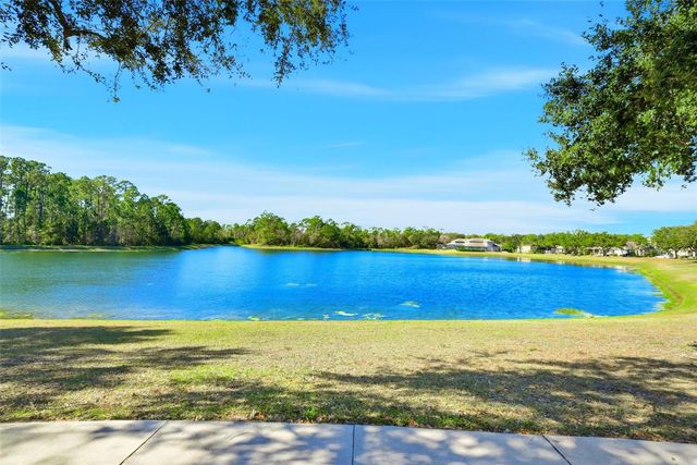 13912 DARCHANCE ROAD, Windermere, FL 34786