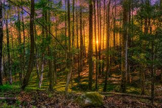 Lot 26 Estates Drive, Ellijay, GA 30540