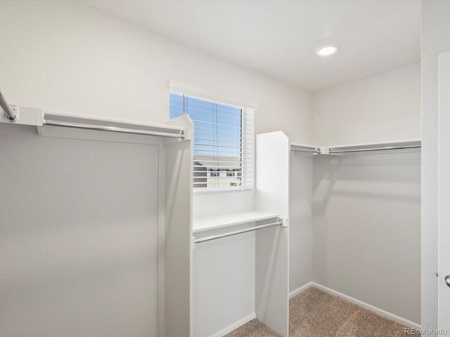 1132 Thunder Pass Road, Severance, CO 80550