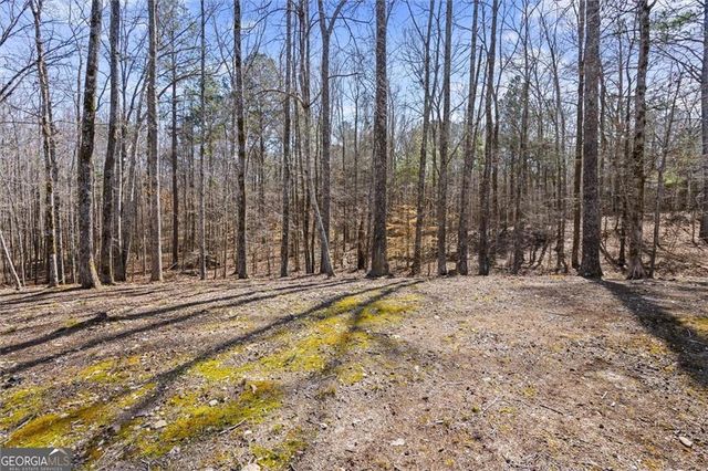 132 Montgomery View Court, Villa Rica, GA 30180