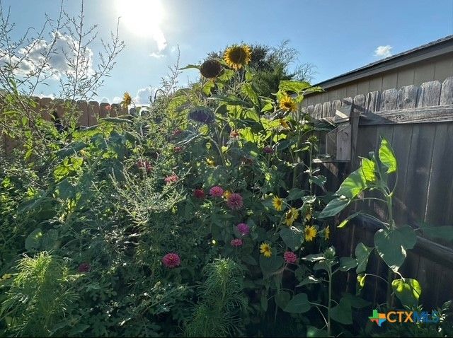 412 Dandridge Drive, Temple, TX 76592