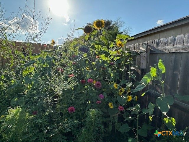 412 Dandridge Drive, Temple, TX 76592