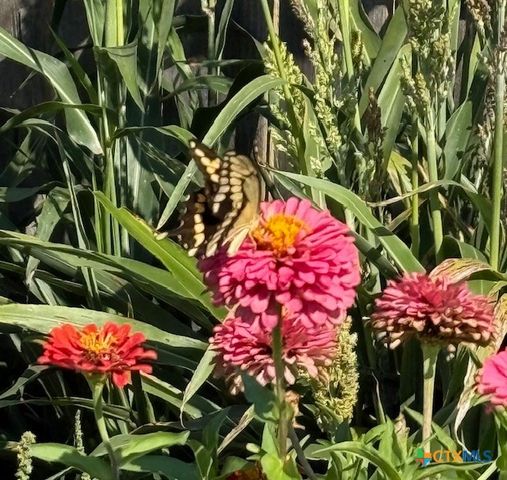 412 Dandridge Drive, Temple, TX 76592