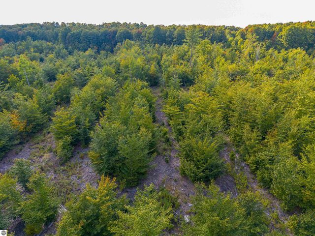 VL 18.75A NW Walker Road, Nw, Rapid City, MI 49676