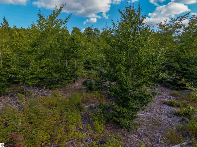 VL 18.75A NW Walker Road, Nw, Rapid City, MI 49676