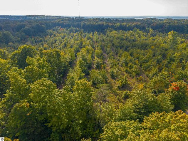 VL 18.75A NW Walker Road, Nw, Rapid City, MI 49676